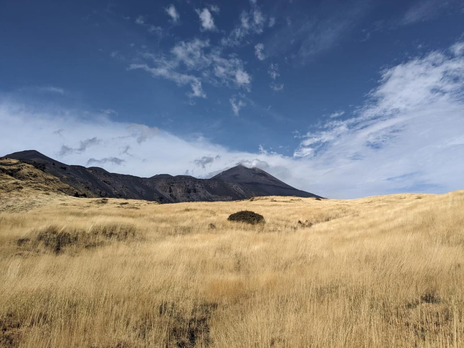 Attico Sul Porto Di Catania E Vista Vulcano 外观 照片